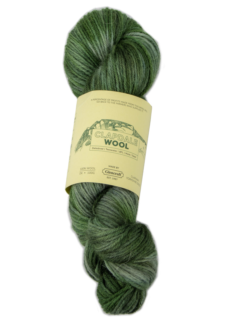 Clapdale Wool Hand Dyed Grassy Green 100g DK