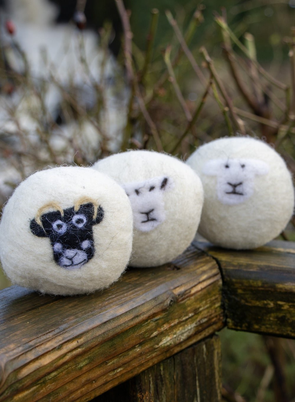 Three felted laundry balls with sheep faces on a wooden fence