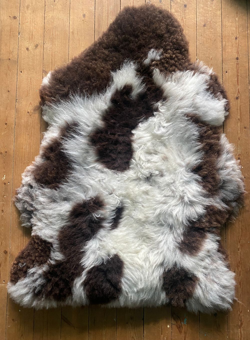 Merton Huge Spotty Jacob Breed Sheepskin Rug