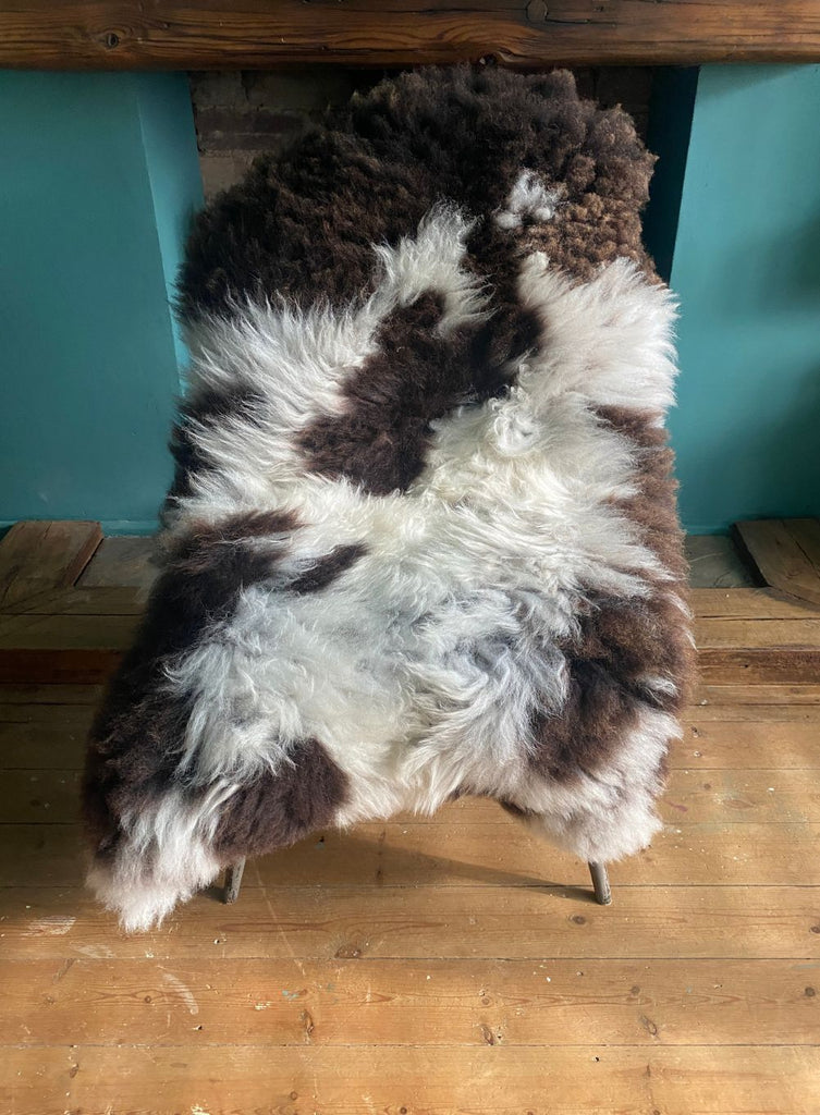 Merton Huge Spotty Jacob Breed Sheepskin Rug