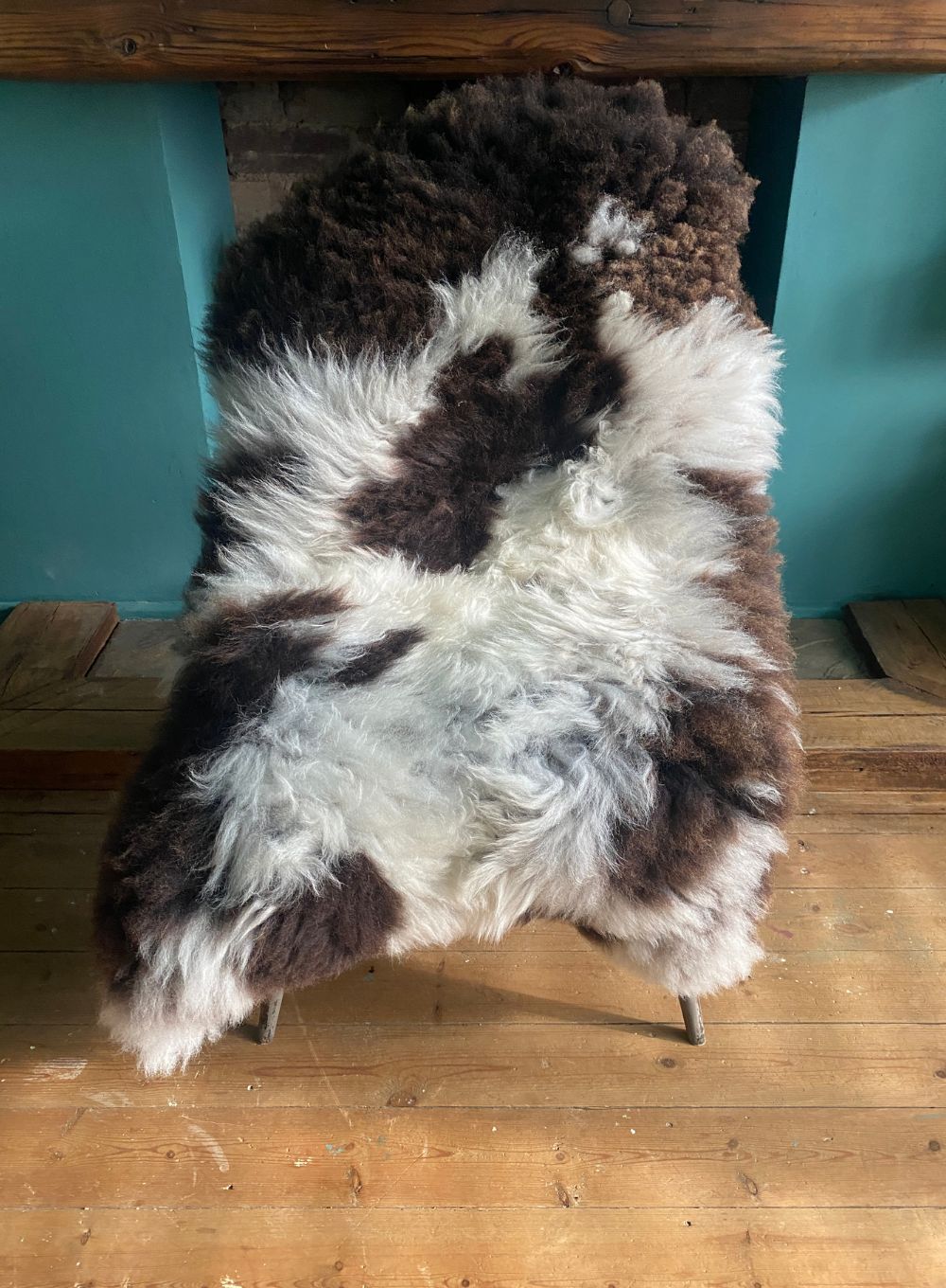 Merton Huge Spotty Jacob Breed Sheepskin Rug
